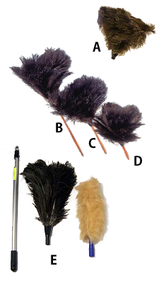 featherduster